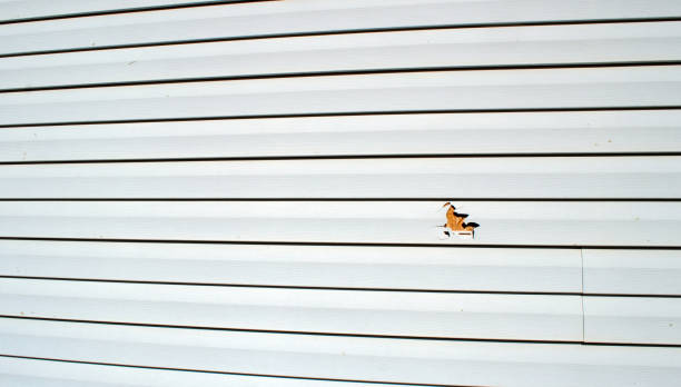 Best Stone Veneer Siding  in Heyville, AL