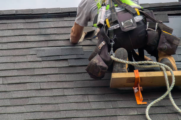 Storm Damage Siding Repair in Haleyville, AL