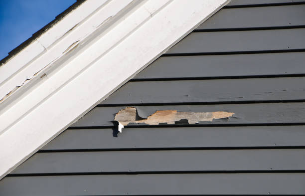 Best Steel Siding Installation  in Heyville, AL